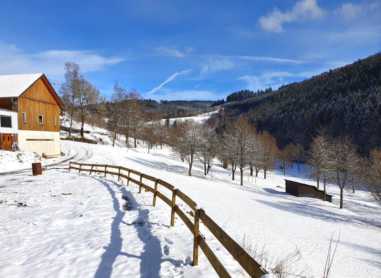 Ferienhaus Grimme - 350M2, 18 Betten - Mit Indoorspielplatz, Pool, Grosser Terrasse, Grill, Sauna, Kicker, Dart, Uvm - Ideal Fuer Familien Schmallenberg Extérieur photo