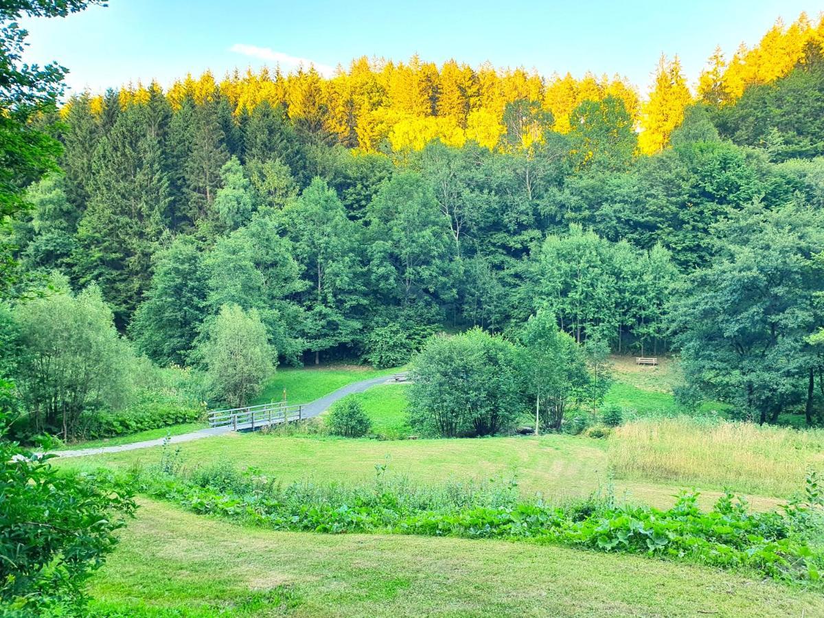 Ferienhaus Grimme - 350M2, 18 Betten - Mit Indoorspielplatz, Pool, Grosser Terrasse, Grill, Sauna, Kicker, Dart, Uvm - Ideal Fuer Familien Schmallenberg Extérieur photo