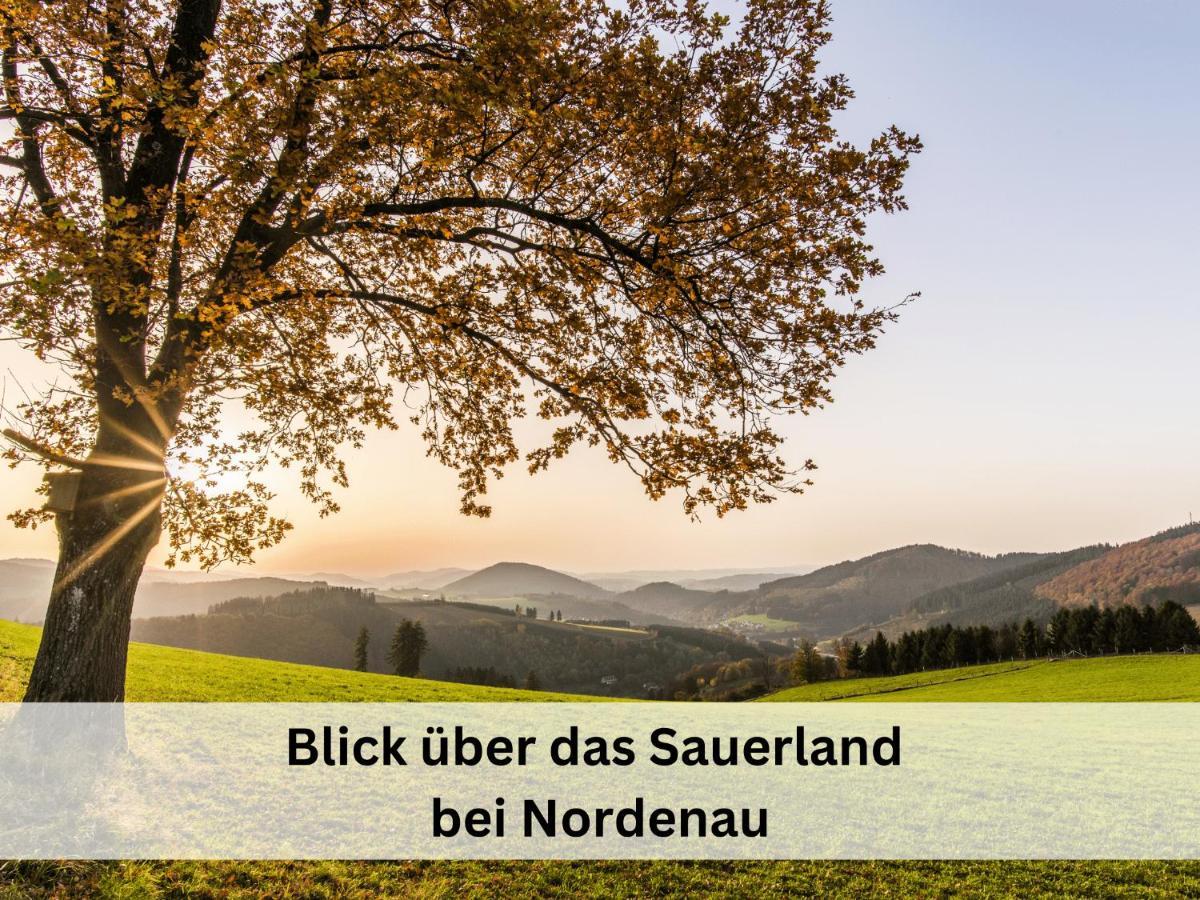 Ferienhaus Grimme - 350M2, 18 Betten - Mit Indoorspielplatz, Pool, Grosser Terrasse, Grill, Sauna, Kicker, Dart, Uvm - Ideal Fuer Familien Schmallenberg Extérieur photo