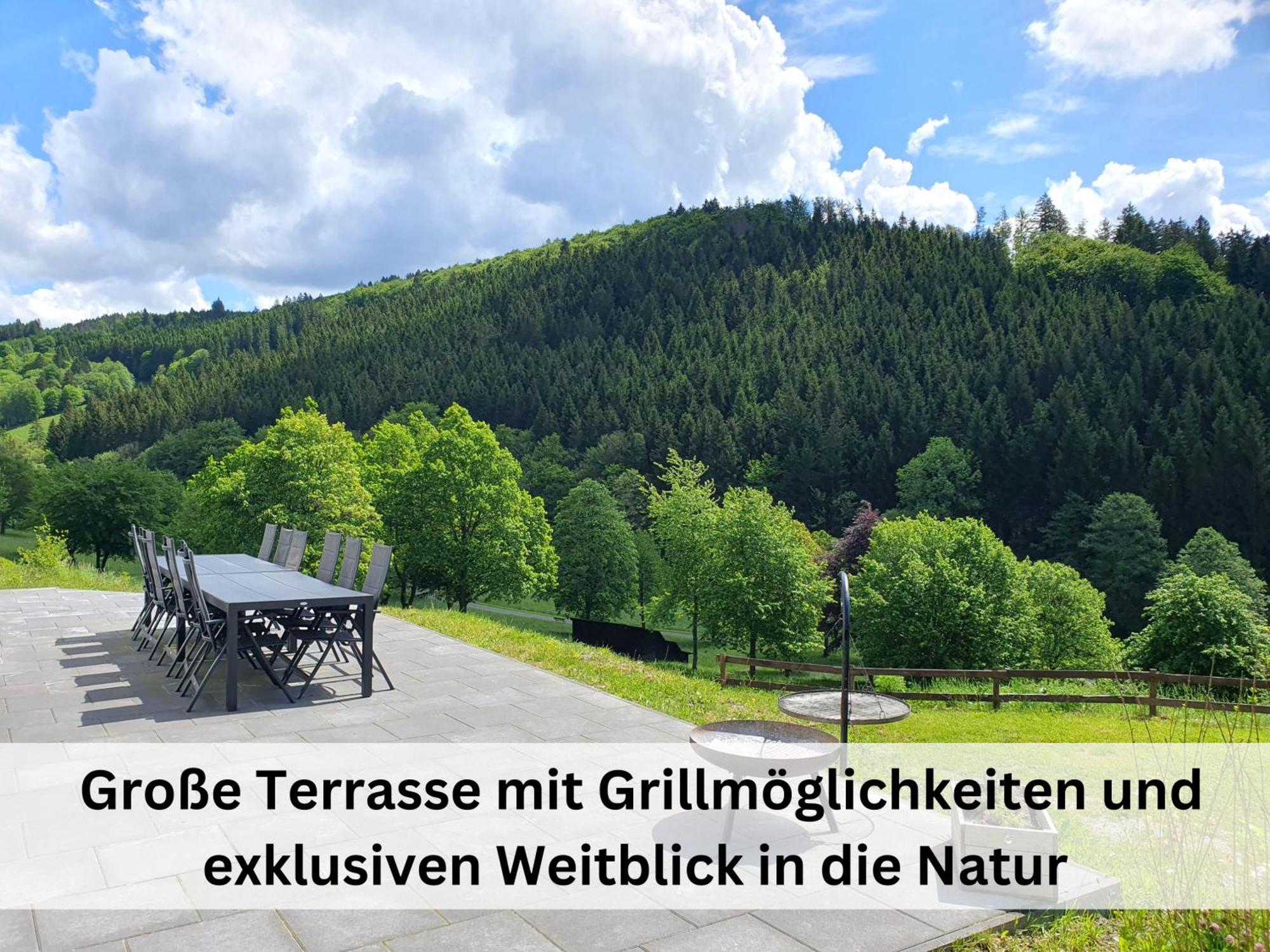 Ferienhaus Grimme - 350M2, 18 Betten - Mit Indoorspielplatz, Pool, Grosser Terrasse, Grill, Sauna, Kicker, Dart, Uvm - Ideal Fuer Familien Schmallenberg Extérieur photo